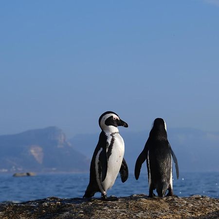 Penguin Haven . Luxury 2 Bedroom, Boulders Beach. Ciudad del Cabo Exterior foto
