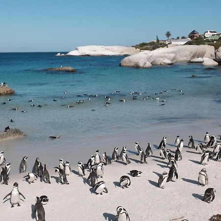 Penguin Haven . Luxury 2 Bedroom, Boulders Beach. Ciudad del Cabo Exterior foto
